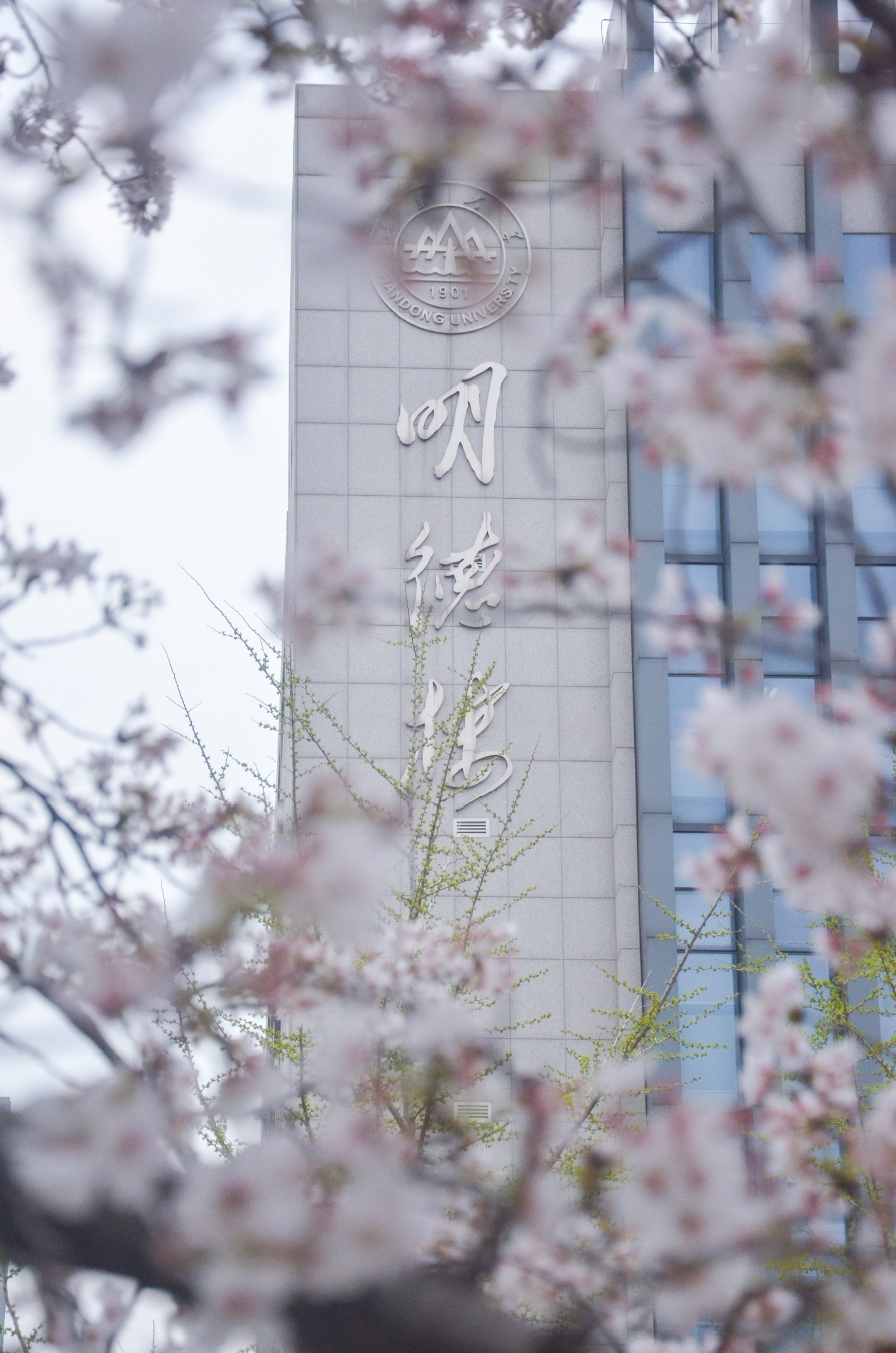 草榴社区